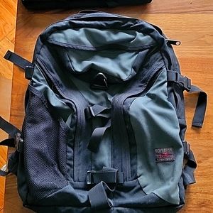 Tom Bihn Brain Bag backpack + free brain cell laptop case